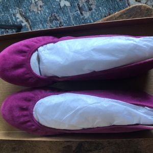 JCrew CeCe Ballet Flats - Brand new in box!